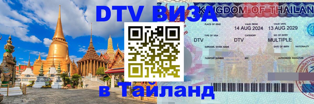 Оформление DTV визы под ключ: стоимость и тарифы, только загранпаспорт - 07.01.2026 